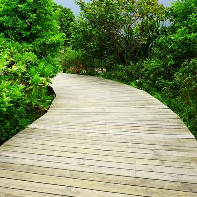 Walkway Installation & Repair