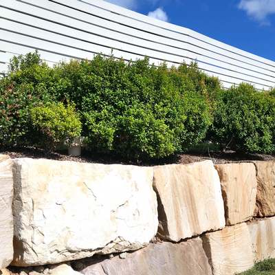 Retaining Wall